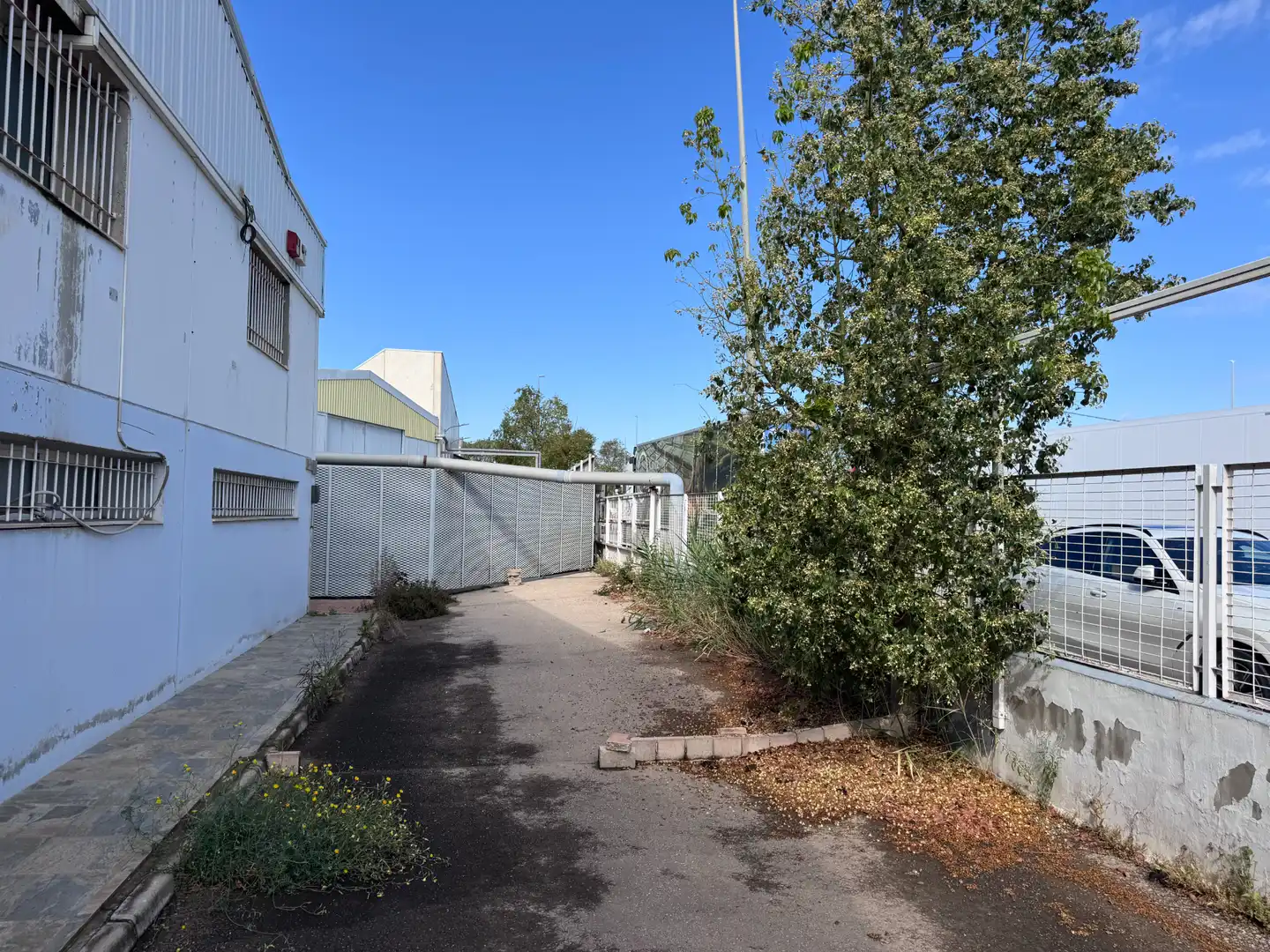 Exterior view of Industrial buildings for rent in Ceutí