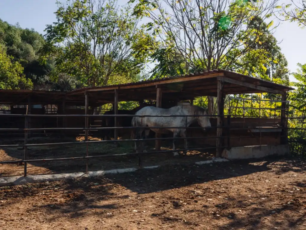 Country homes for sale in Rubí