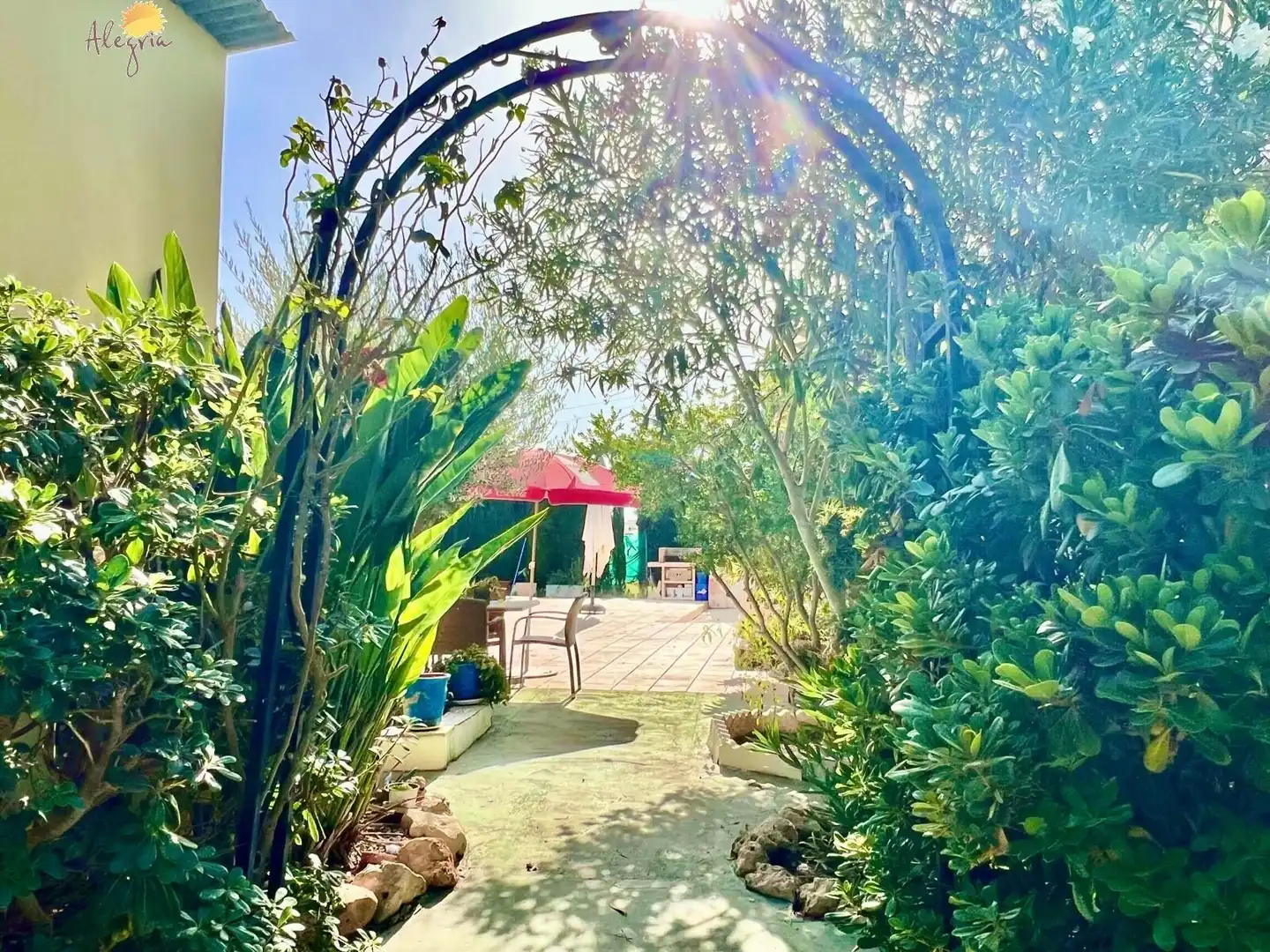 Jardí de Casa o xalet en venda en Daya Vieja amb Aire condicionat, Calefacció i Jardí privat