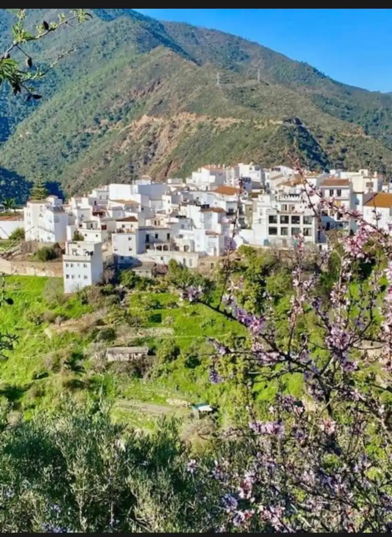 Vista exterior de Casa adosada en venta en Istán con Aire acondicionado, Calefacción y Terraza