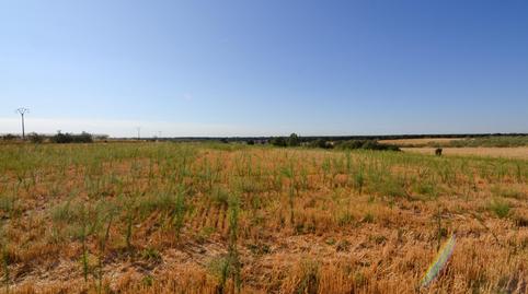 Photo 3 of Land for sale in Camino Sacedón, Brunete, Madrid