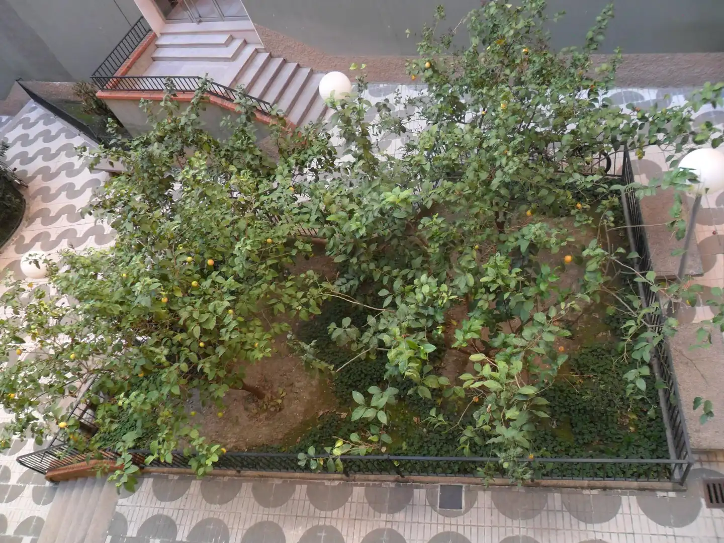 Flat for rent in Plaza de Toros