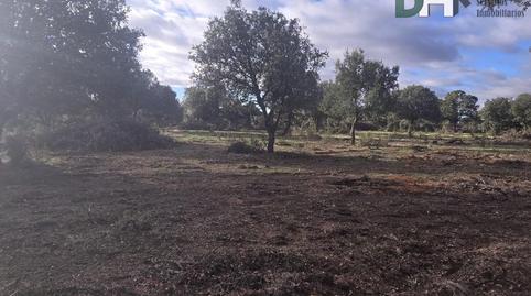 Photo 4 of Residential for sale in Zurguén, Salamanca