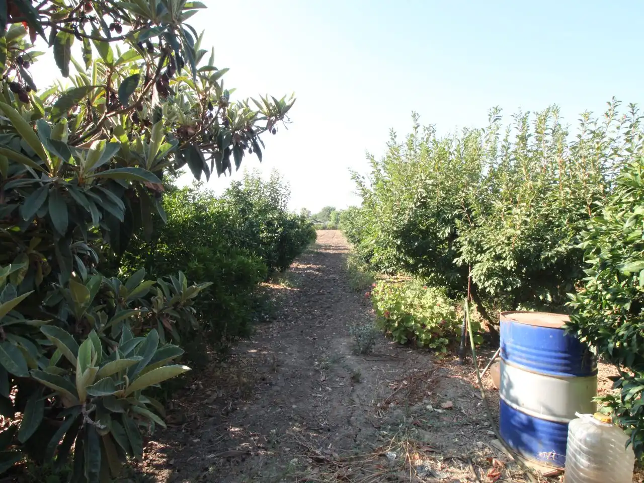 Terreno rustico in vendita a Calle Poniente 13, imagen 26