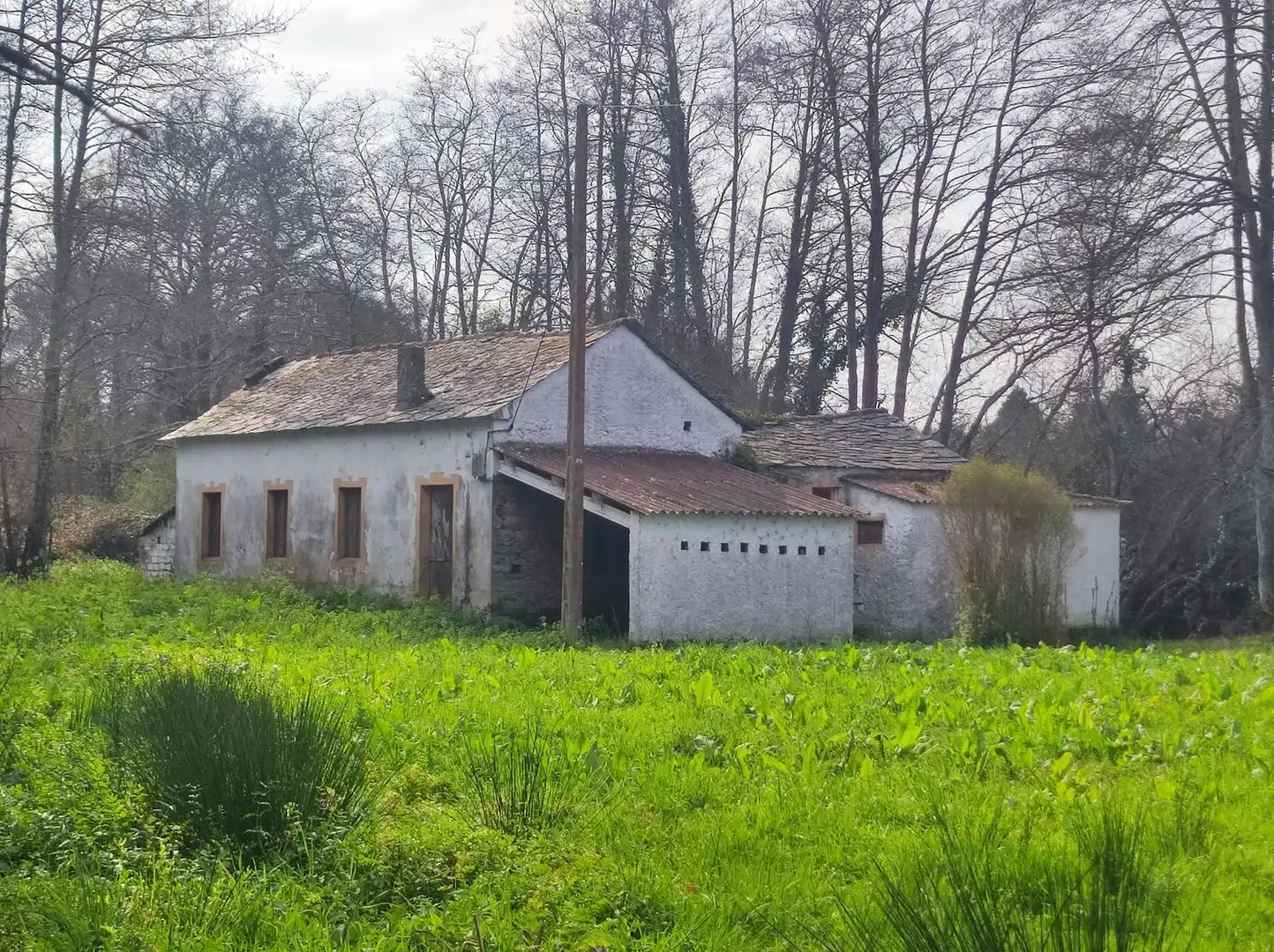 Finca rústica en venda en Ortigueira amb Jardí privat