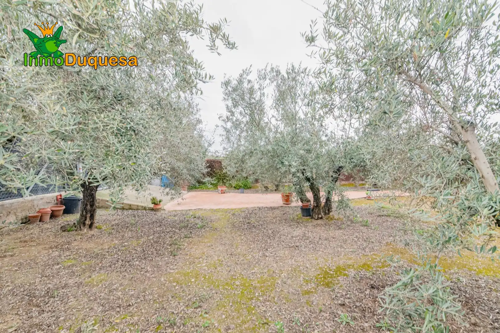 Garten von Country house zum Verkauf in Ogíjares