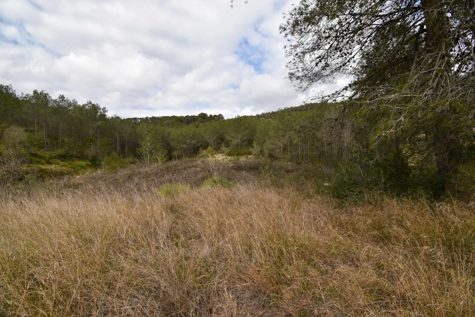 Terreno residencial en venta en Olivella, imagen 12