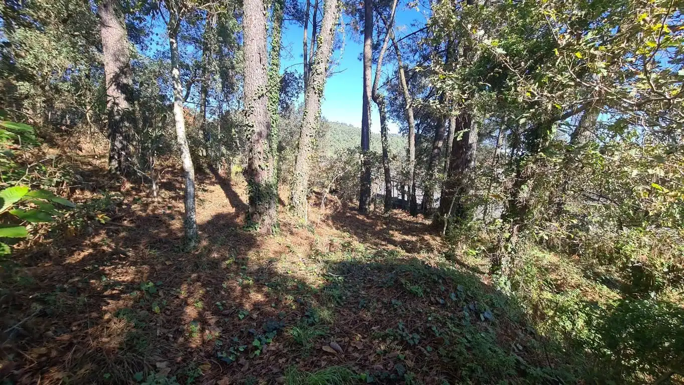 Nave industrial en venta en Boiro