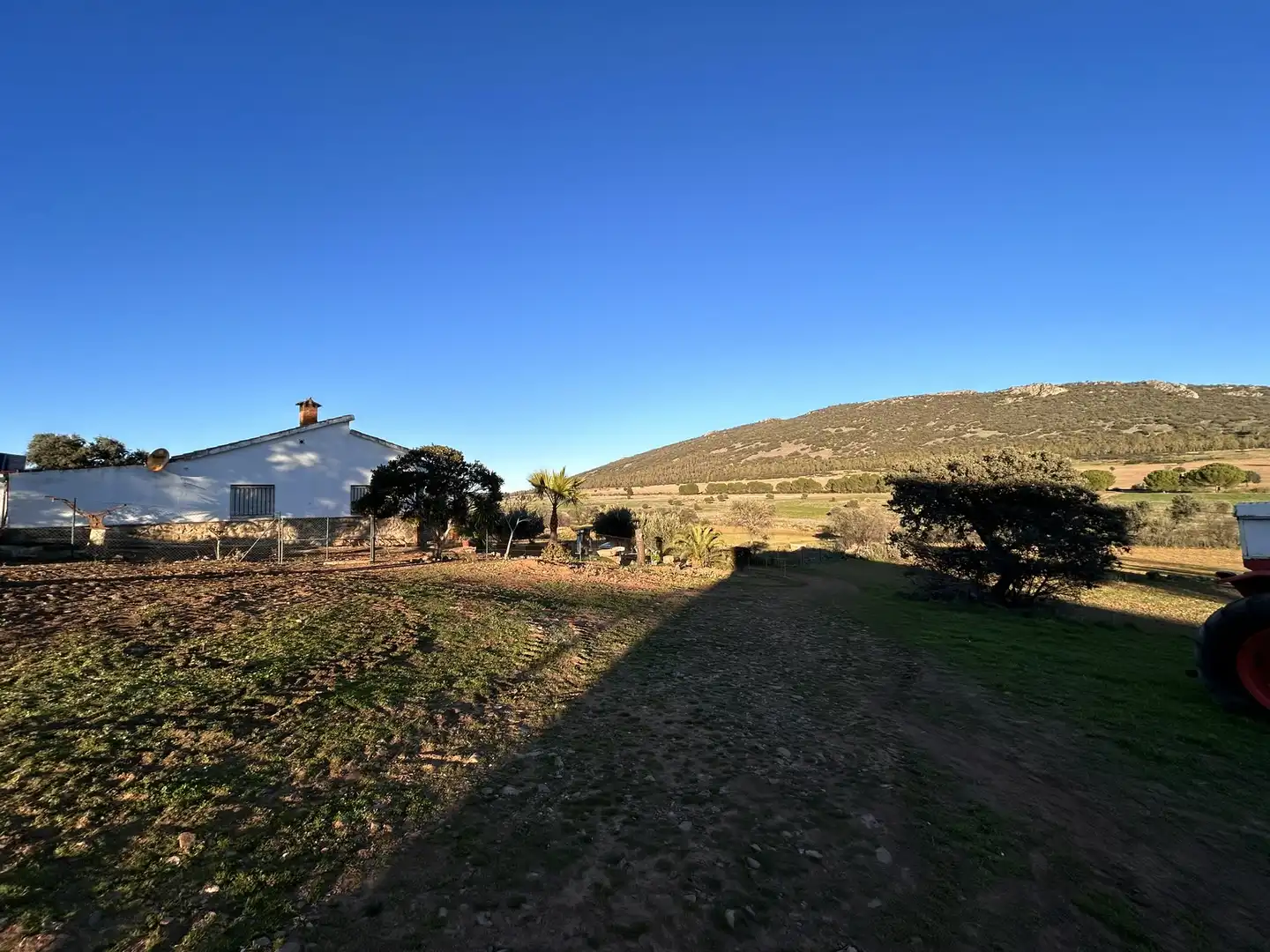 Terreny rústic en venda a Peraleda del Zaucejo, imagen 10