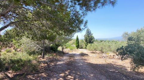 Foto 5 de Finca rústica en venta en N/a, Urbanitzacions, Tortosa