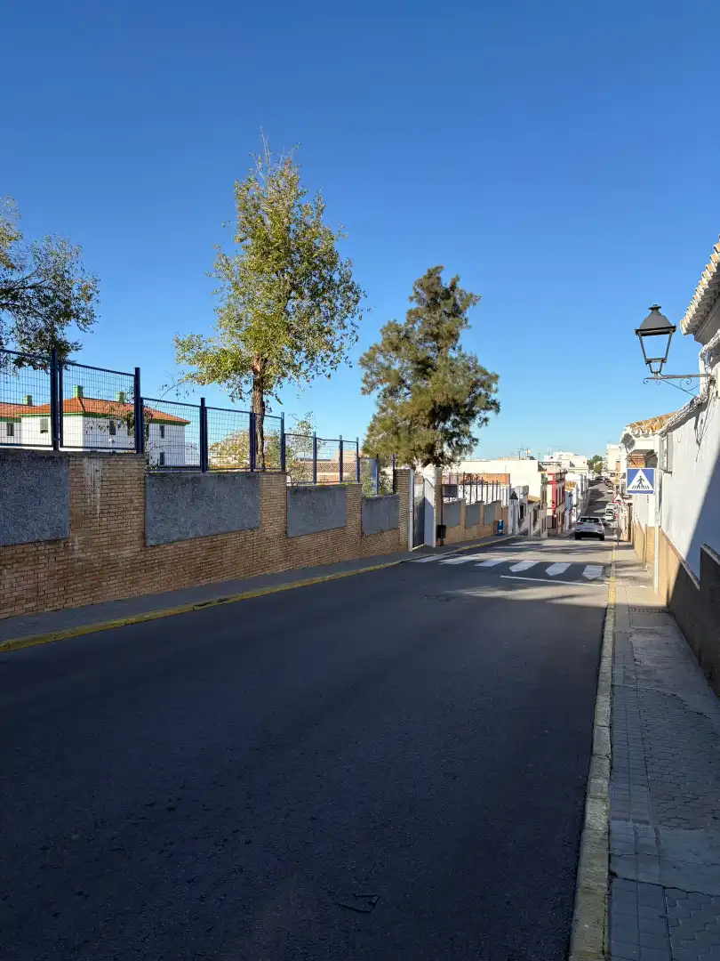 Vista exterior de Local en venta en Carmona con Aire acondicionado