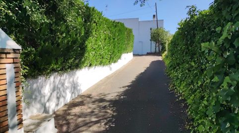 Foto 5 de Casa o chalet en venta en Calle Jilguero, Almendralejo, Badajoz