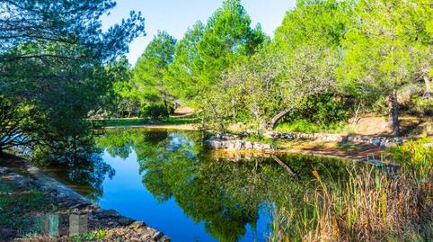 Photo 4 of Premises for sale in Calle Pedrapiquers (dels), Borriol, Castellón