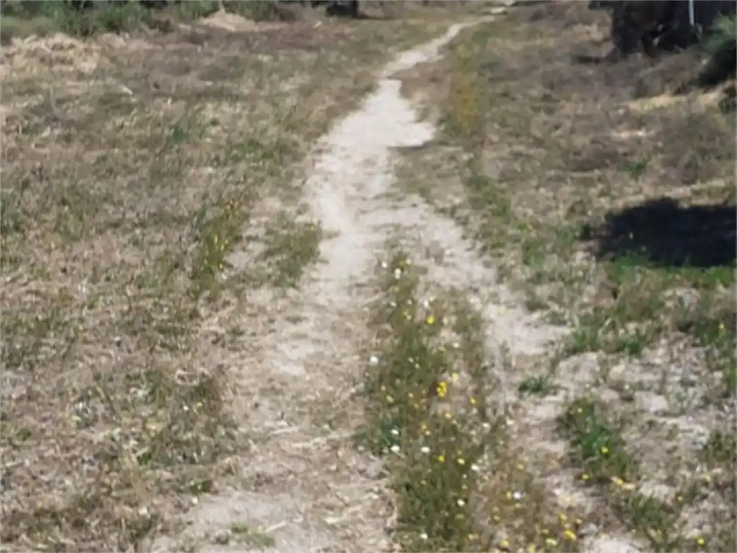 Vista exterior de Terreno en venta en Valencia de Alcántara