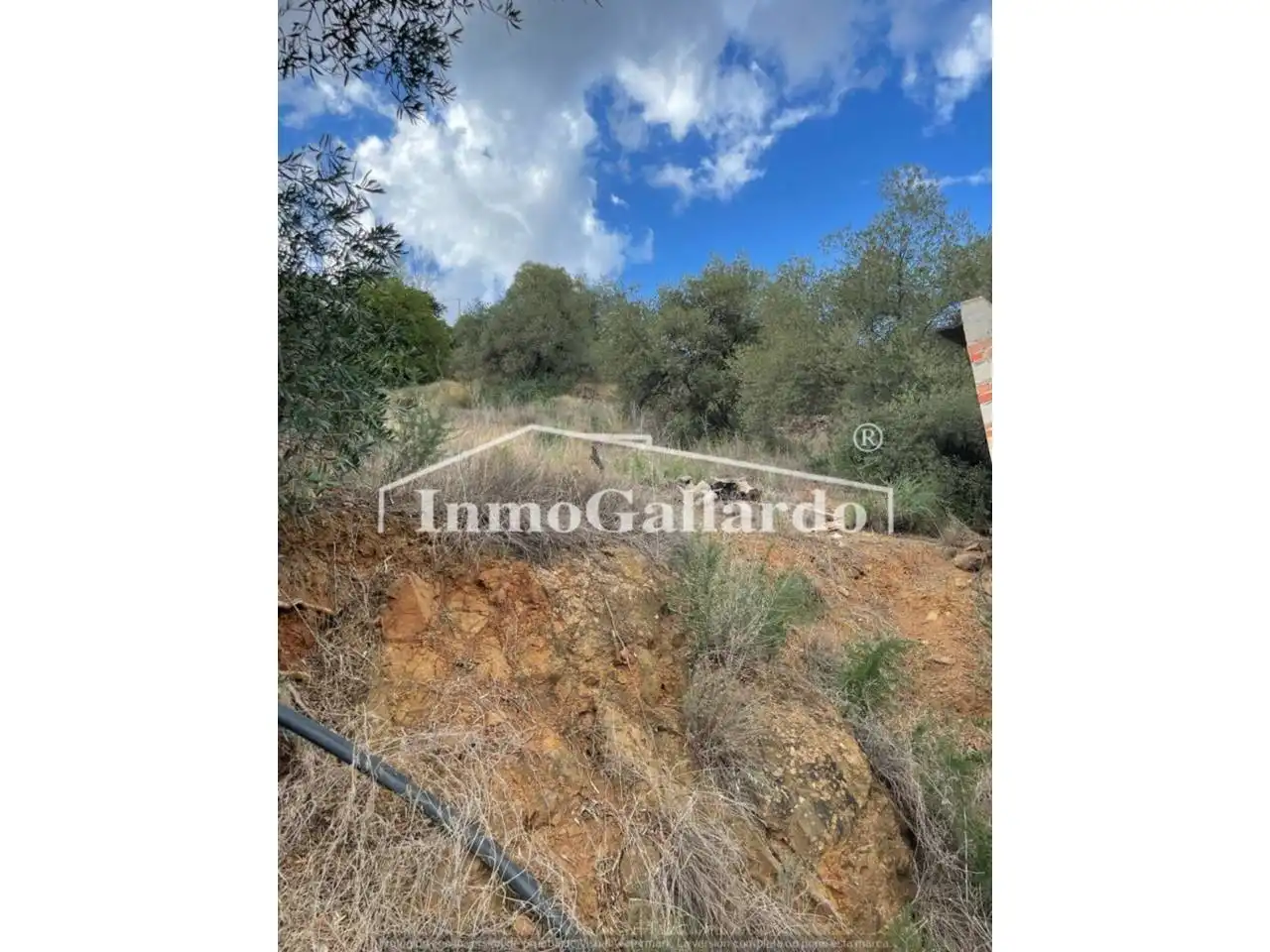 Houses for sale in Comares  with Private garden