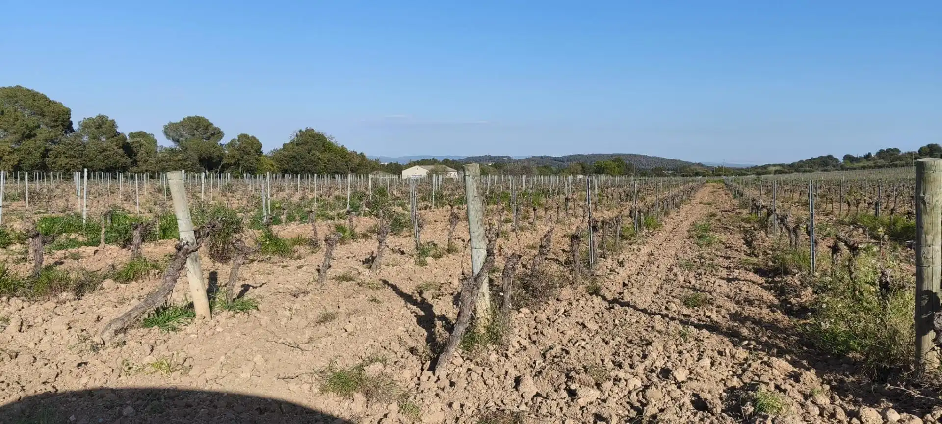 Casa rústica amb jardí en venda a Sant Martí Sarroca, imagen 15