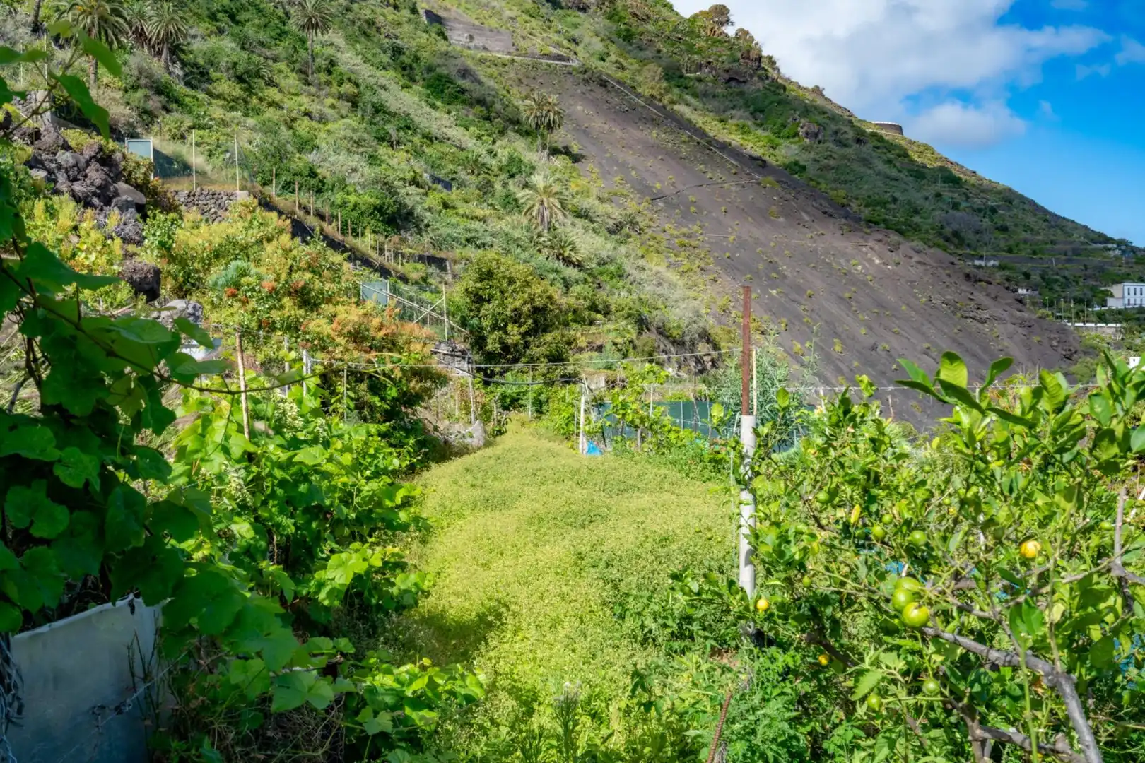 Residential zum Verkauf in Garachico
