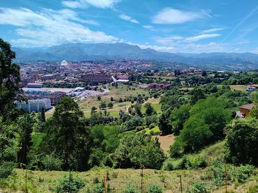 Maison avec jardin à vendre à Ciudad Naranco - Prados de La Fuente