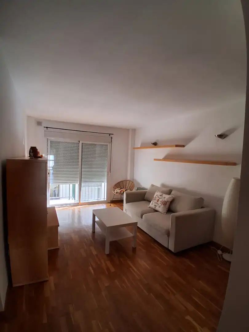 Living room of Apartments for rent in  Palma de Mallorca  with Air Conditioner, Parquet flooring and Furnished