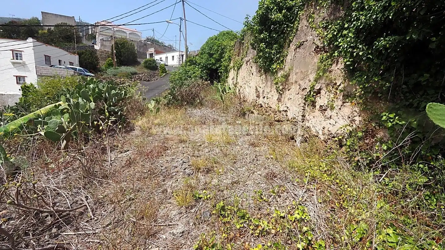 Casa amb jardí en venda a La Vega - El Amparo - Cueva del Viento, imagen 15
