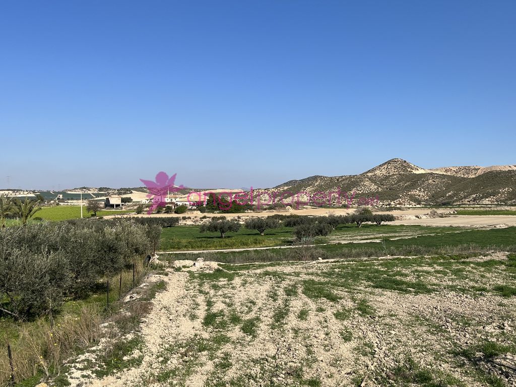 Finca rústica en venda en Cuevas del Almanzora