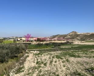 Finca rústica en venda en Cuevas del Almanzora