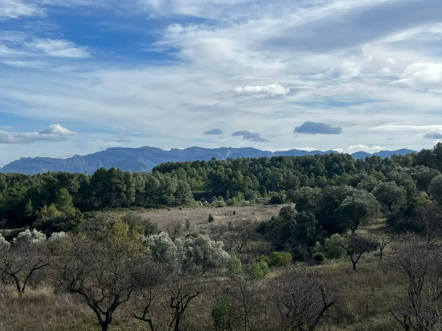 Terreno en venta en Arens de Lledó