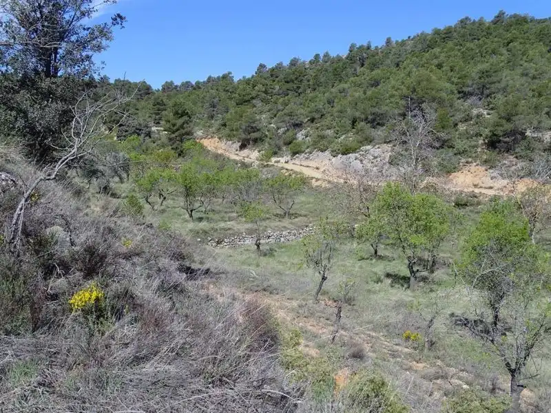 Finca rústica en venta en Beceite