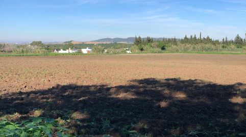 Magnifica finca rustica con vivienda en zona muy tranquila., Bild 5