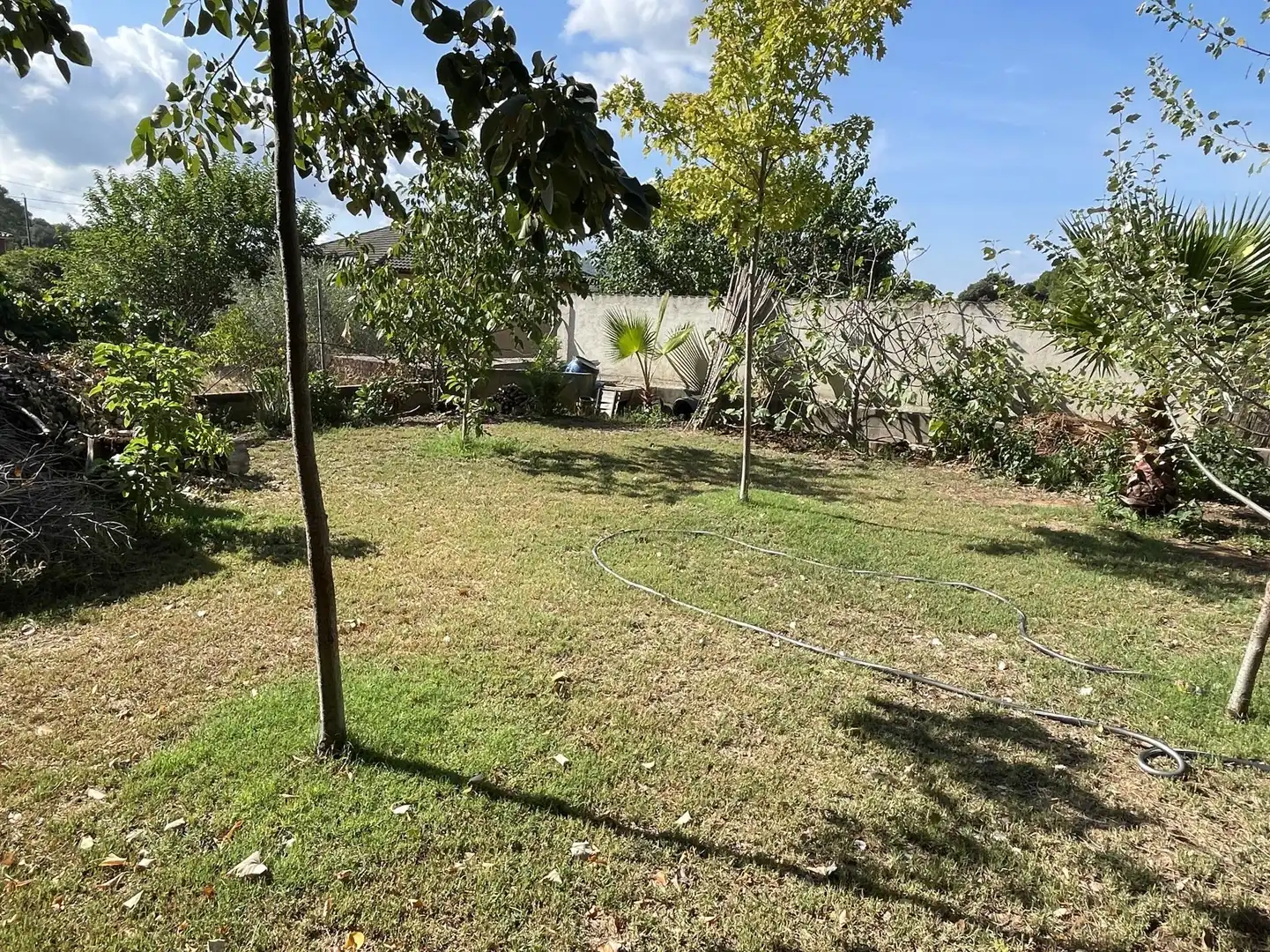 Casa con giardino in vendita a Calle Mimosa, imagen 7