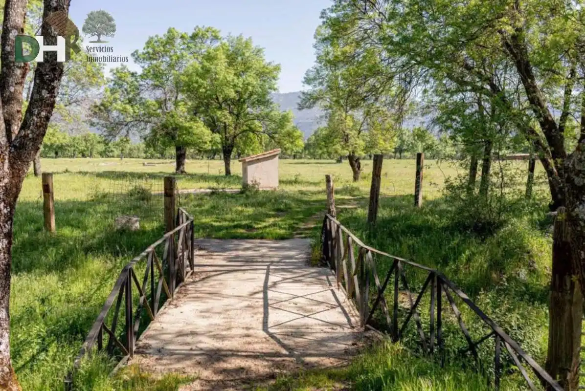 Jardí de Residencial en venda en Madrid