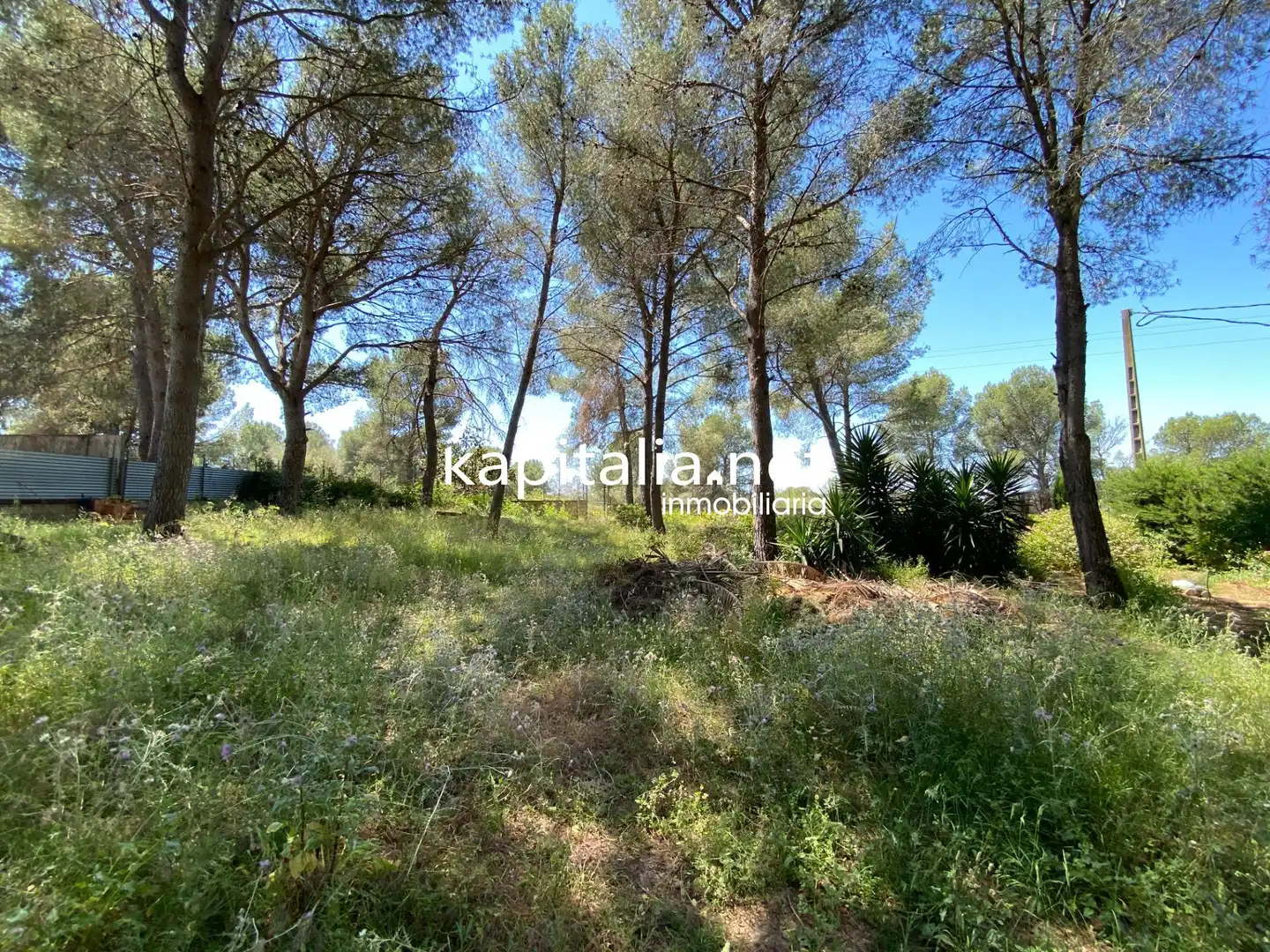 Casa o chalet en venta en Alberic con Jardín privado, Piscina y Amueblado