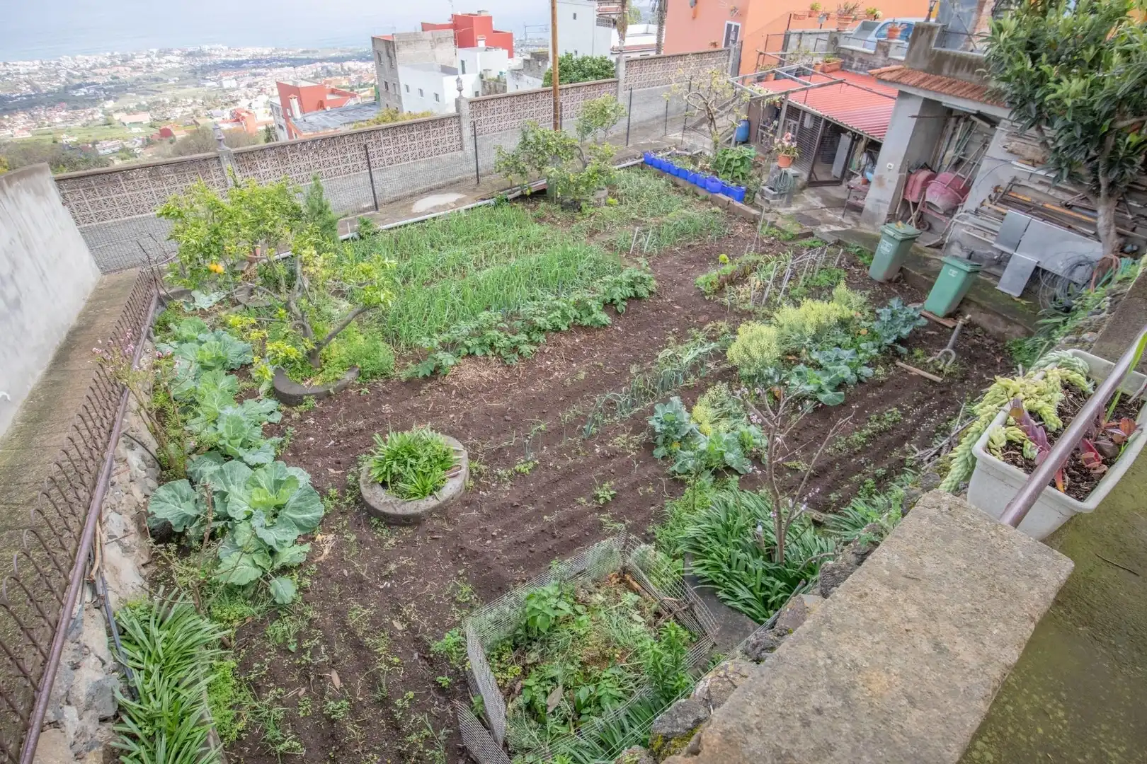 Jardí de Casa adosada en venda en La Orotava