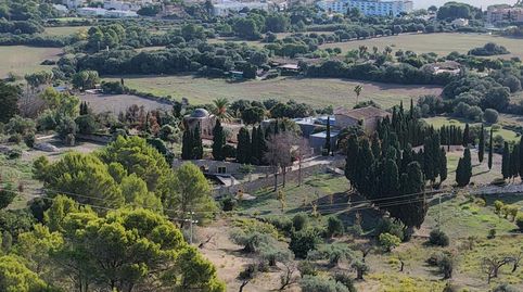 Son Servera, finca rústica con dos viviendas independientes, imatge 3