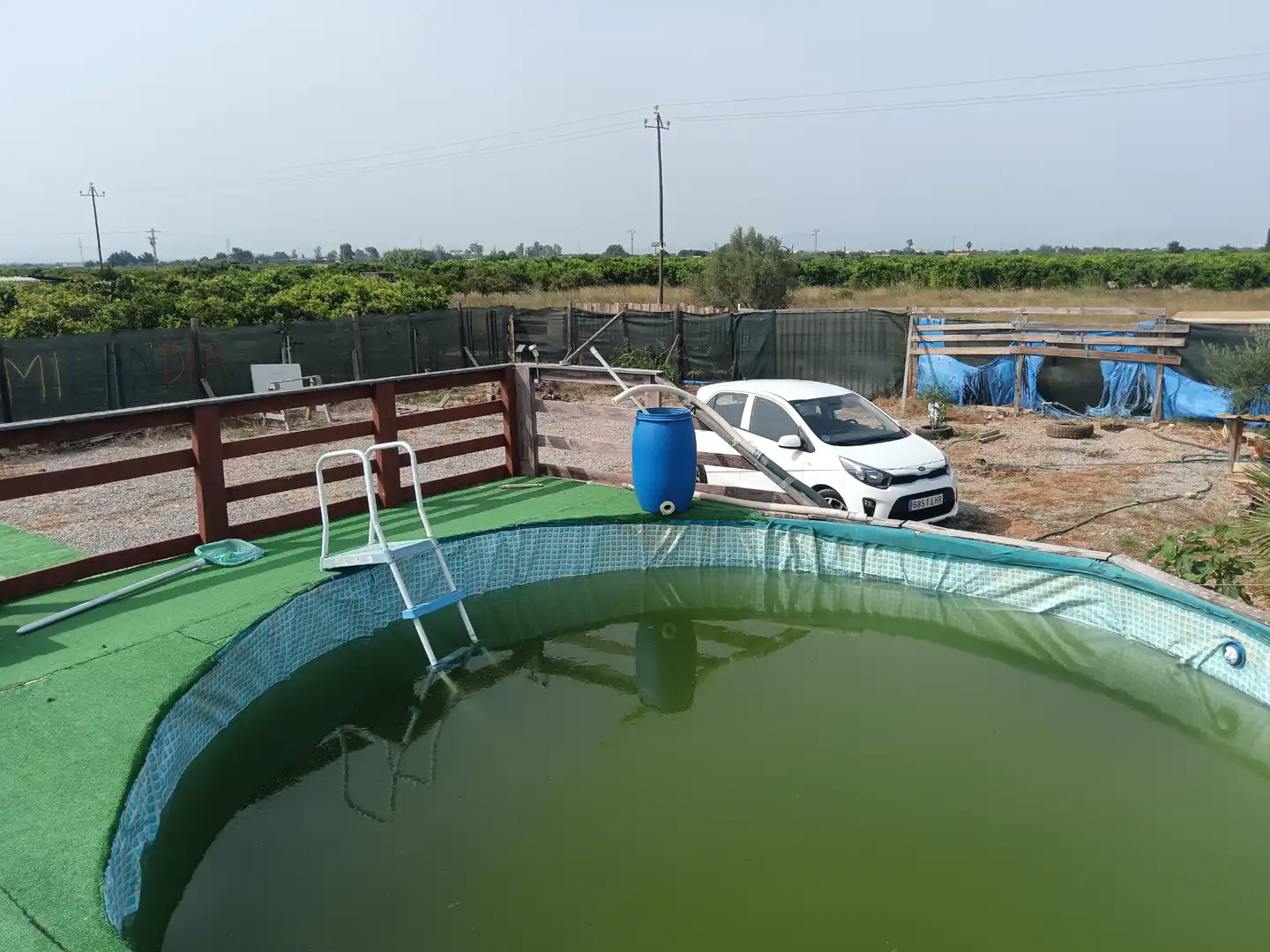 Piscina de Finca rústica en venda en Nules amb Jardí privat, Terrassa i Traster