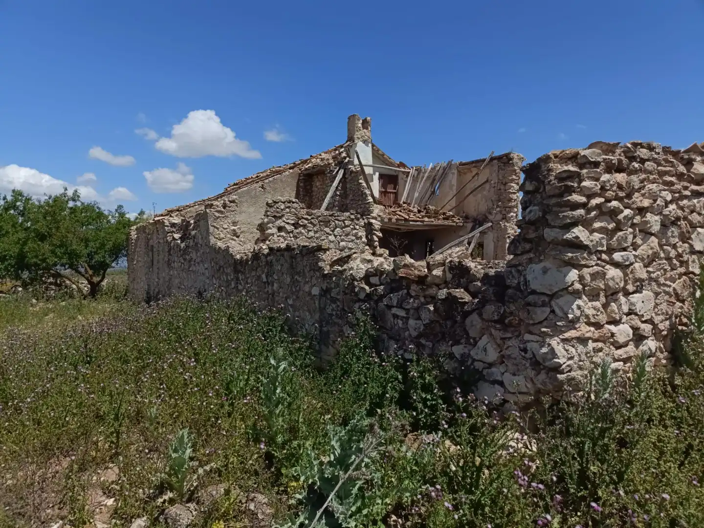 Vista exterior de Finca rústica en venta en Salar