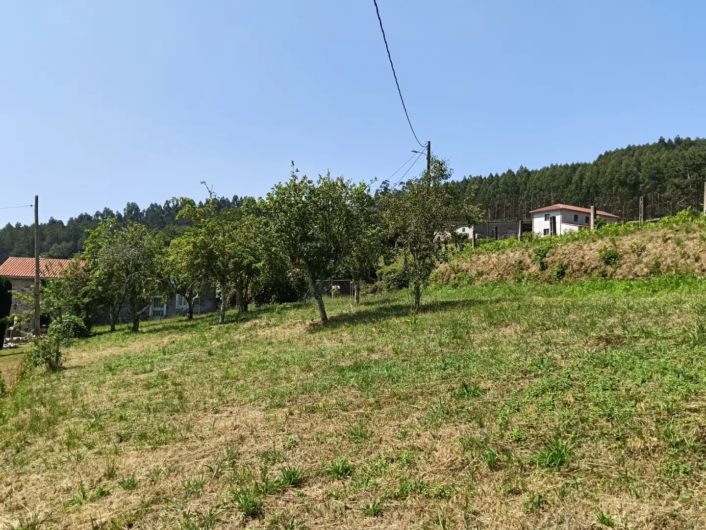 Adossat amb jardí en venda a Cesuras, imagen 22