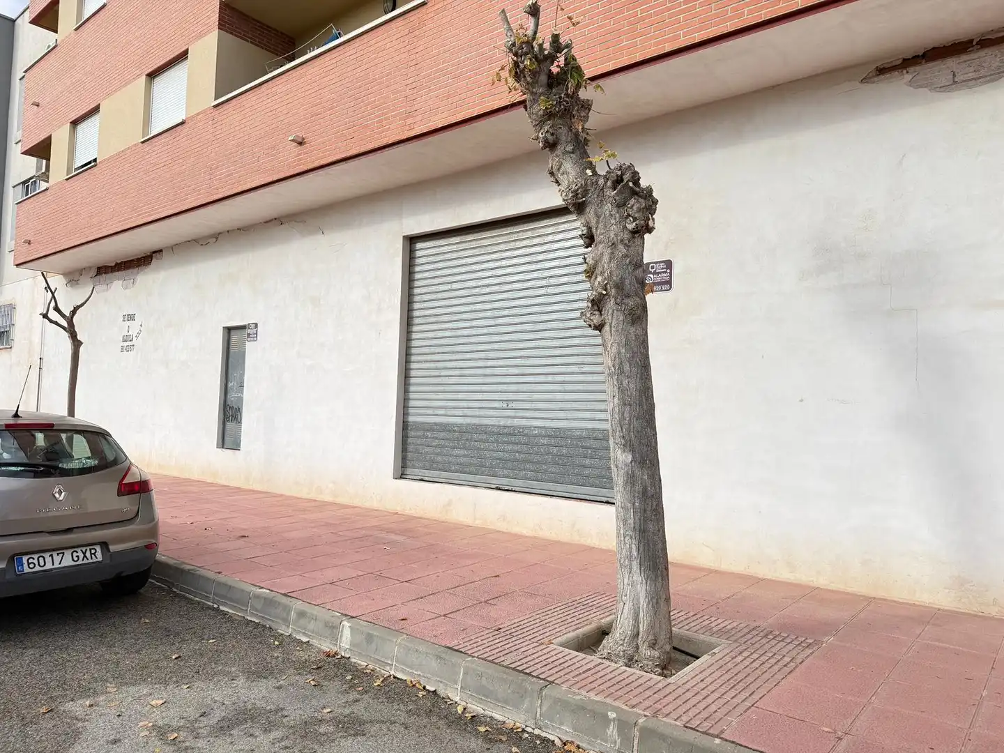 Local commercial à vendre à Calle Poetisa Eladia Bautista Patier, imagen 10