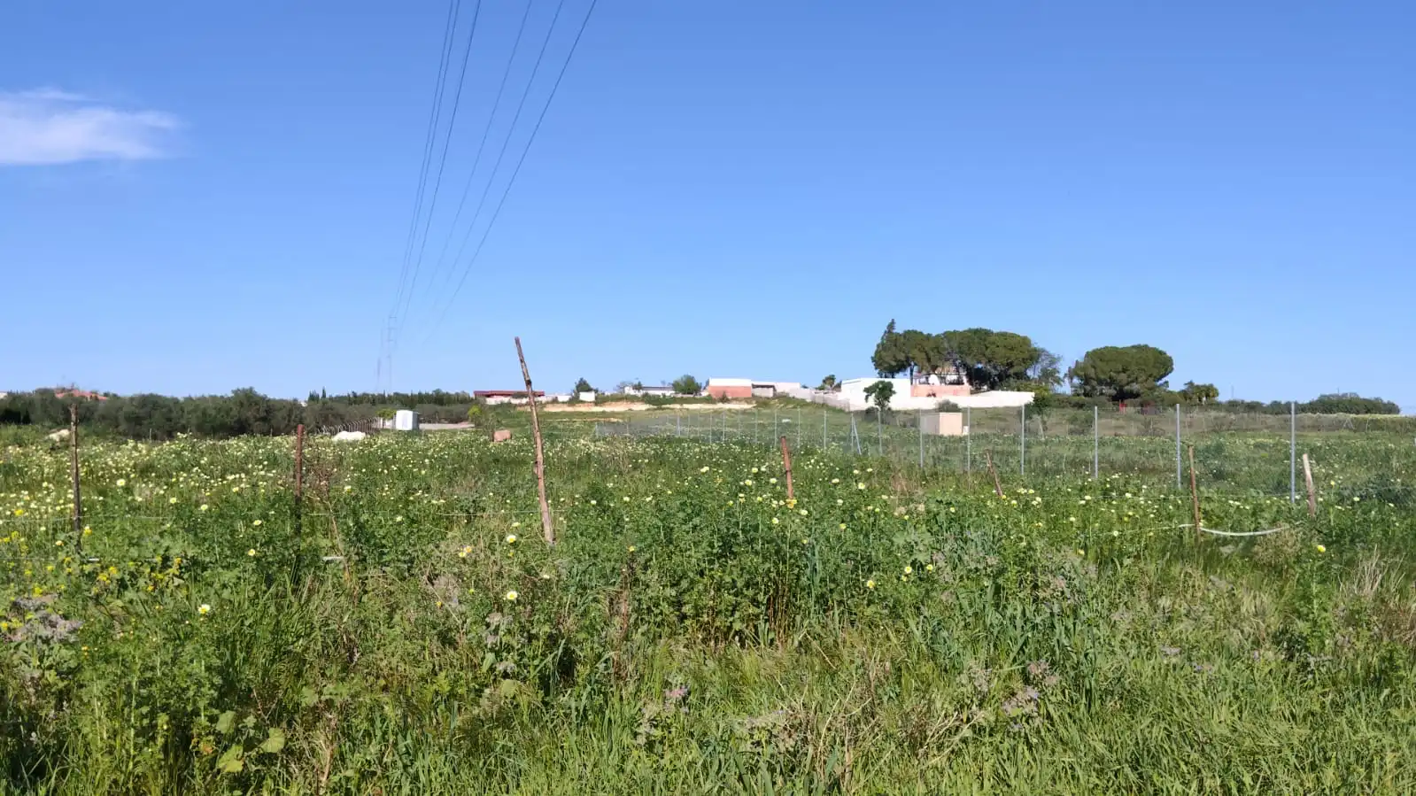 Rural land for sale in Coria del Río, imagen 5