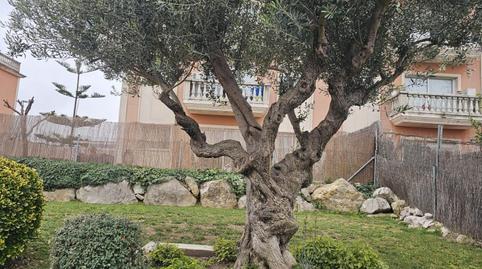 Photo 3 of Flat for sale in Camino Camí Paperers, Sant Sadurní d'Anoia, Barcelona