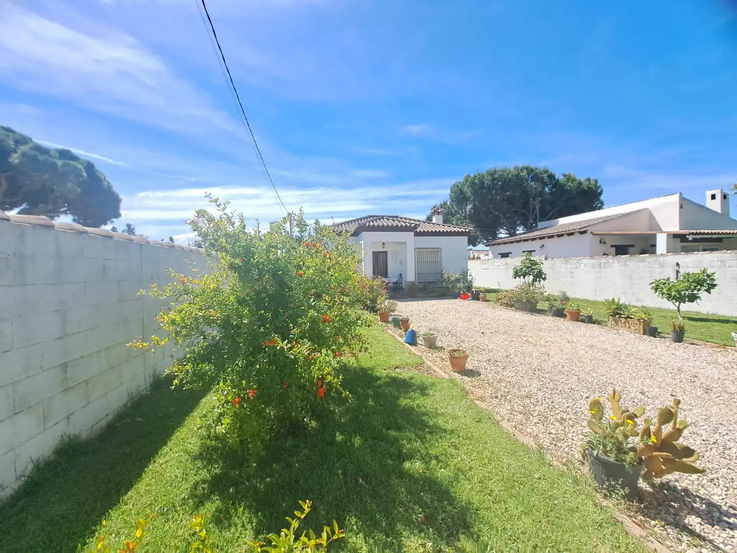 Vista exterior de Casa o chalet en venta en Chiclana de la Frontera con Aire acondicionado, Jardín privado y Trastero