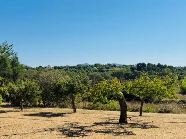 Country homes for sale in Manacor  with Air Conditioner, Private garden and Terrace