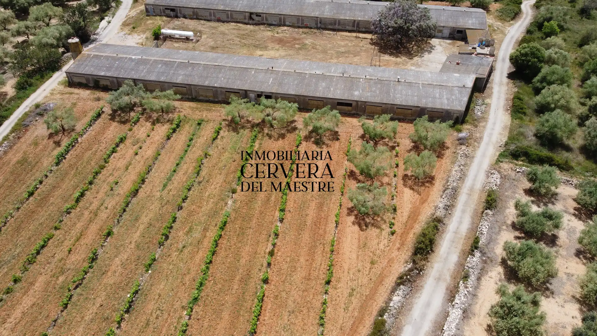 Terreno rustico in vendita a Cervera del Maestre, imagen 17