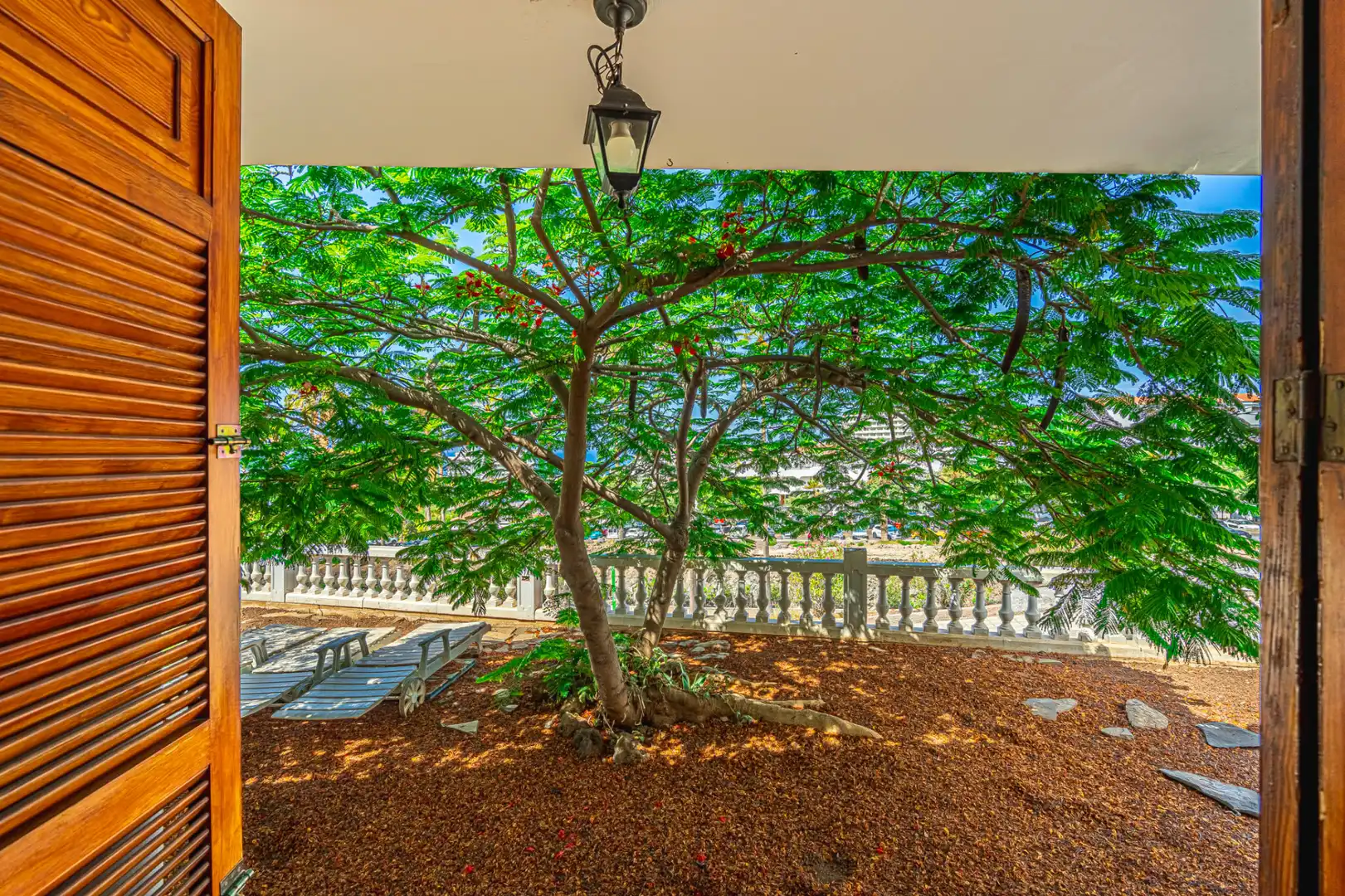 Jardín de Casa o chalet en venta en Adeje con Jardín privado y Terraza