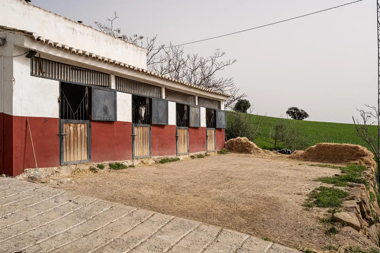 Vista exterior de Finca rústica en venta en Villanueva de la Concepción con Terraza, Piscina y Amueblado