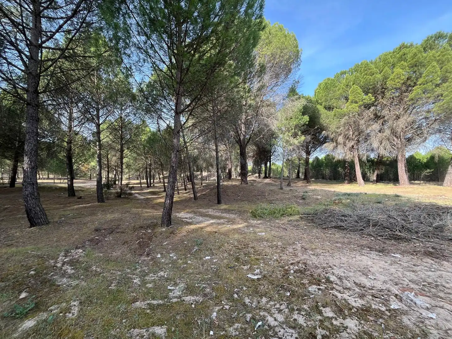 Terreno en venta en Tudela de Duero