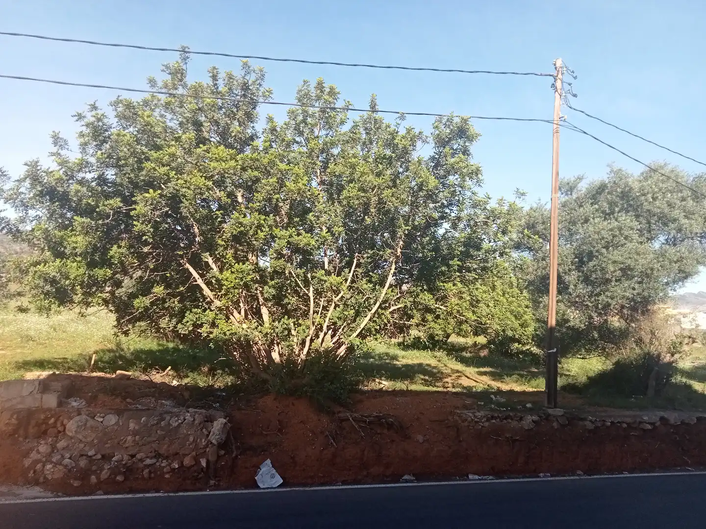 Terreno rustico in vendita a Oeste, imagen 6