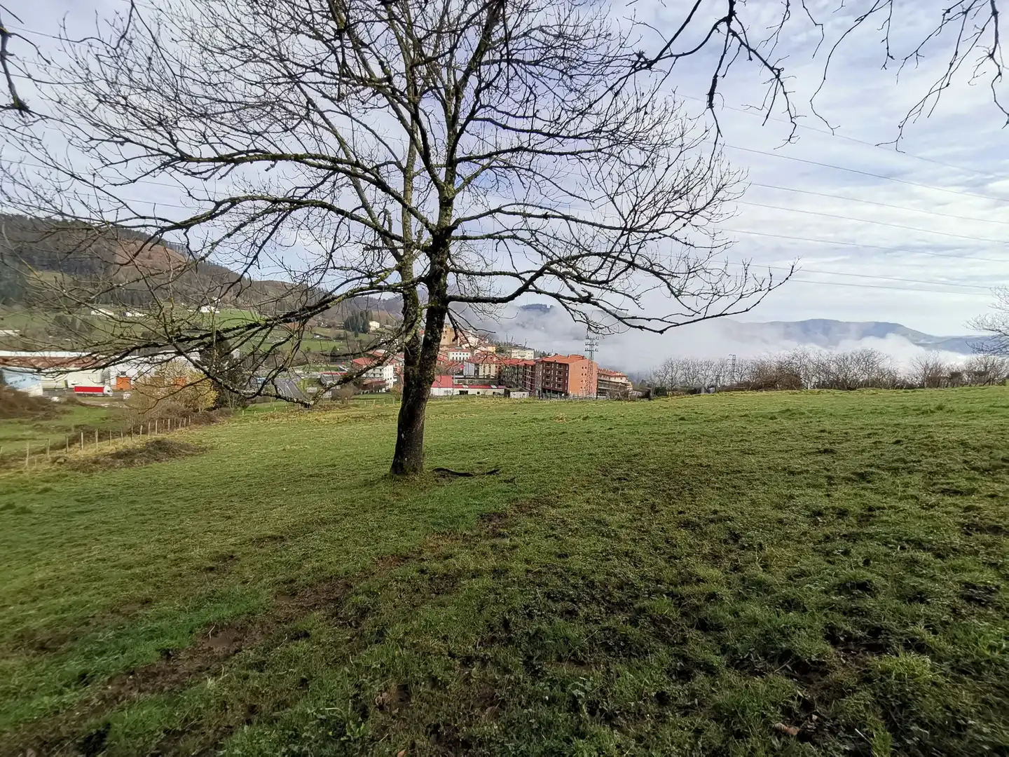 Country homes for sale in Elgeta