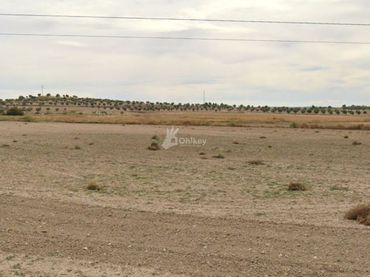 Rural land for sale in Villaconejos
