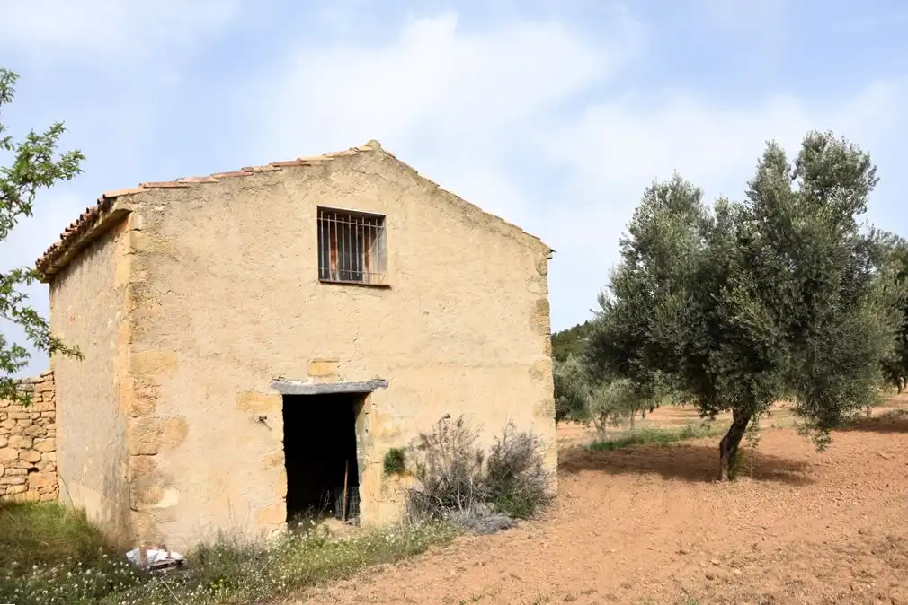 Vista exterior de Terreno en venta en Arens de Lledó